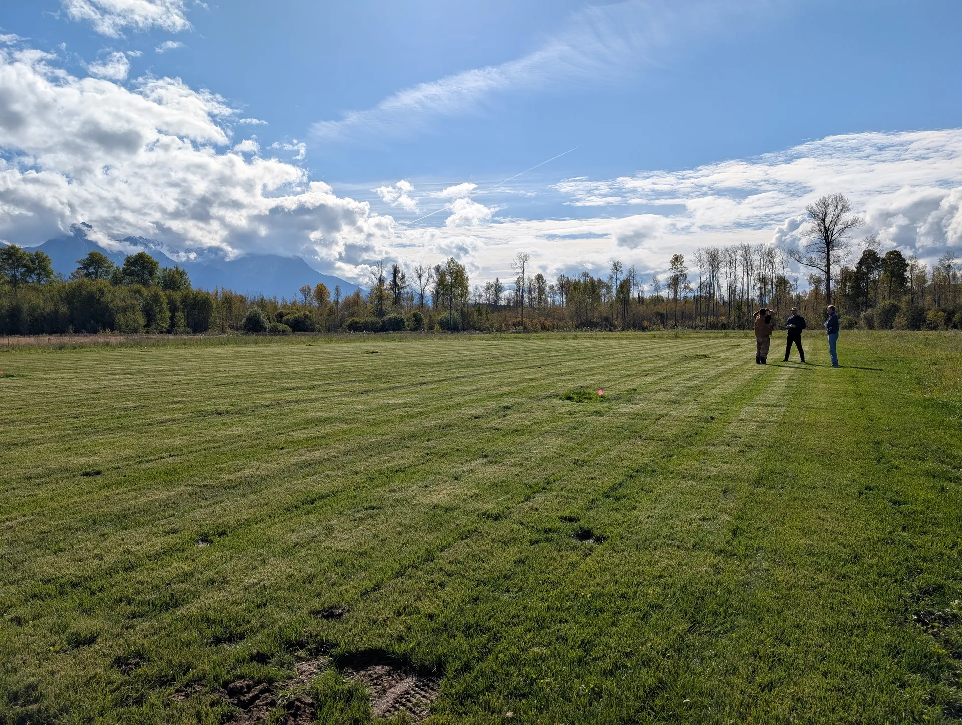 A wide new lawn with mountains and evening cloud behind