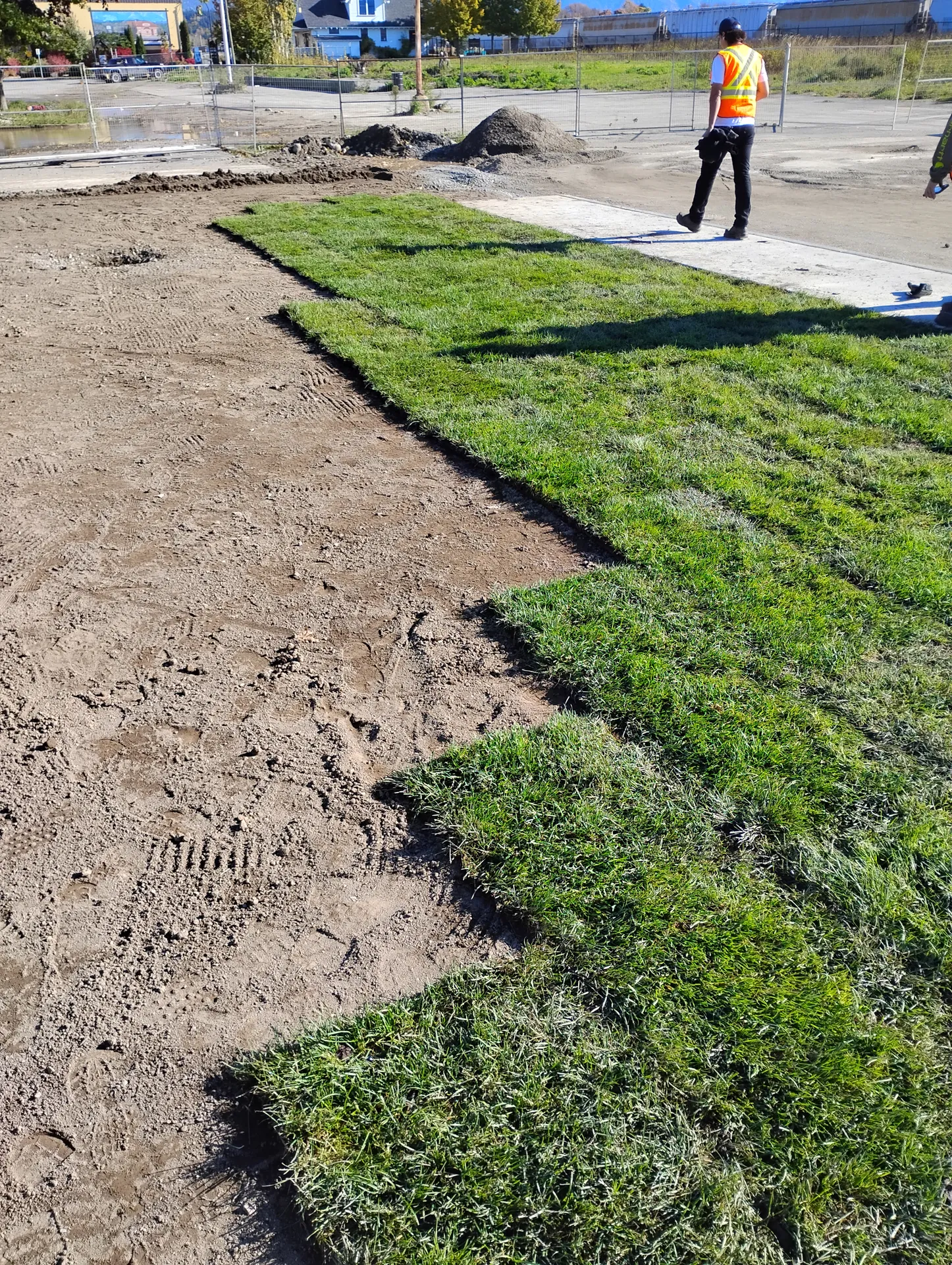 Sod rolls being laid across the prepared ground