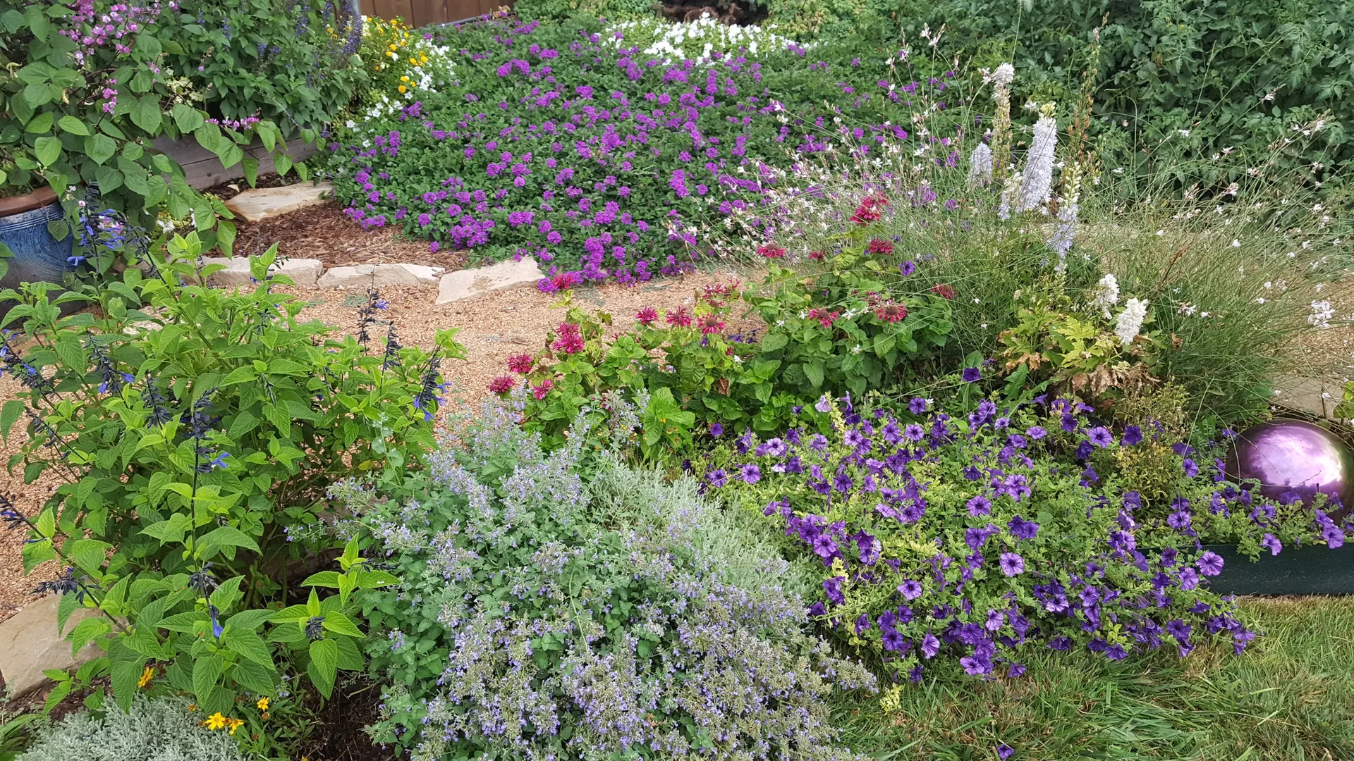 A full perennial border in bloom beside a greenhouse