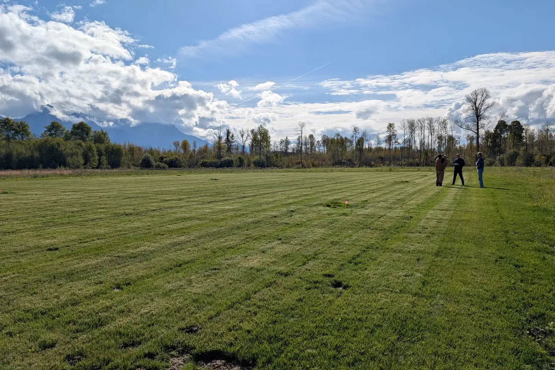 A new lawn stretching toward mountains on public grounds
