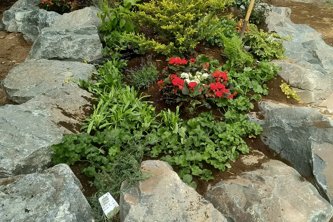 A planted boulder rockery marking a property entrance