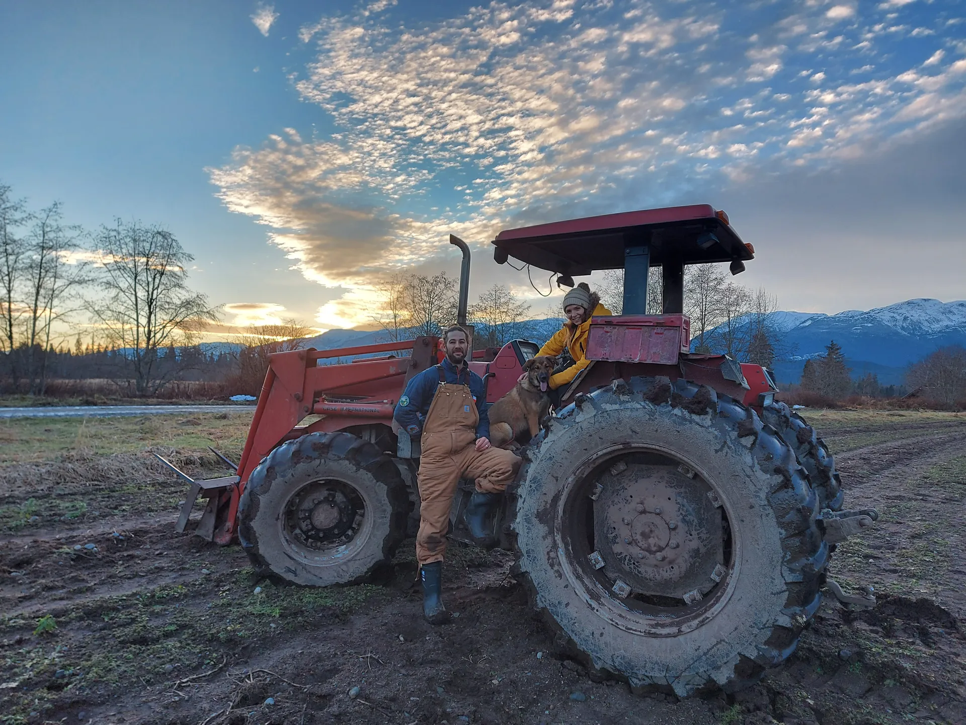 A tractor parked in a worked field under an evening sky