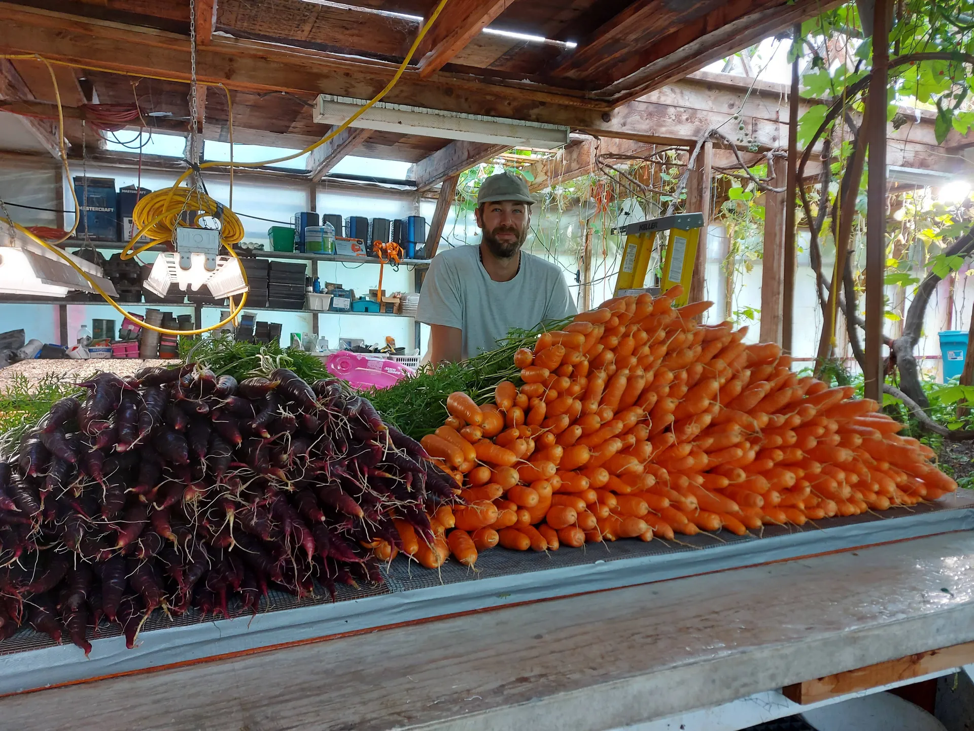 A harvest table at the farm stand piled with carrots and produce