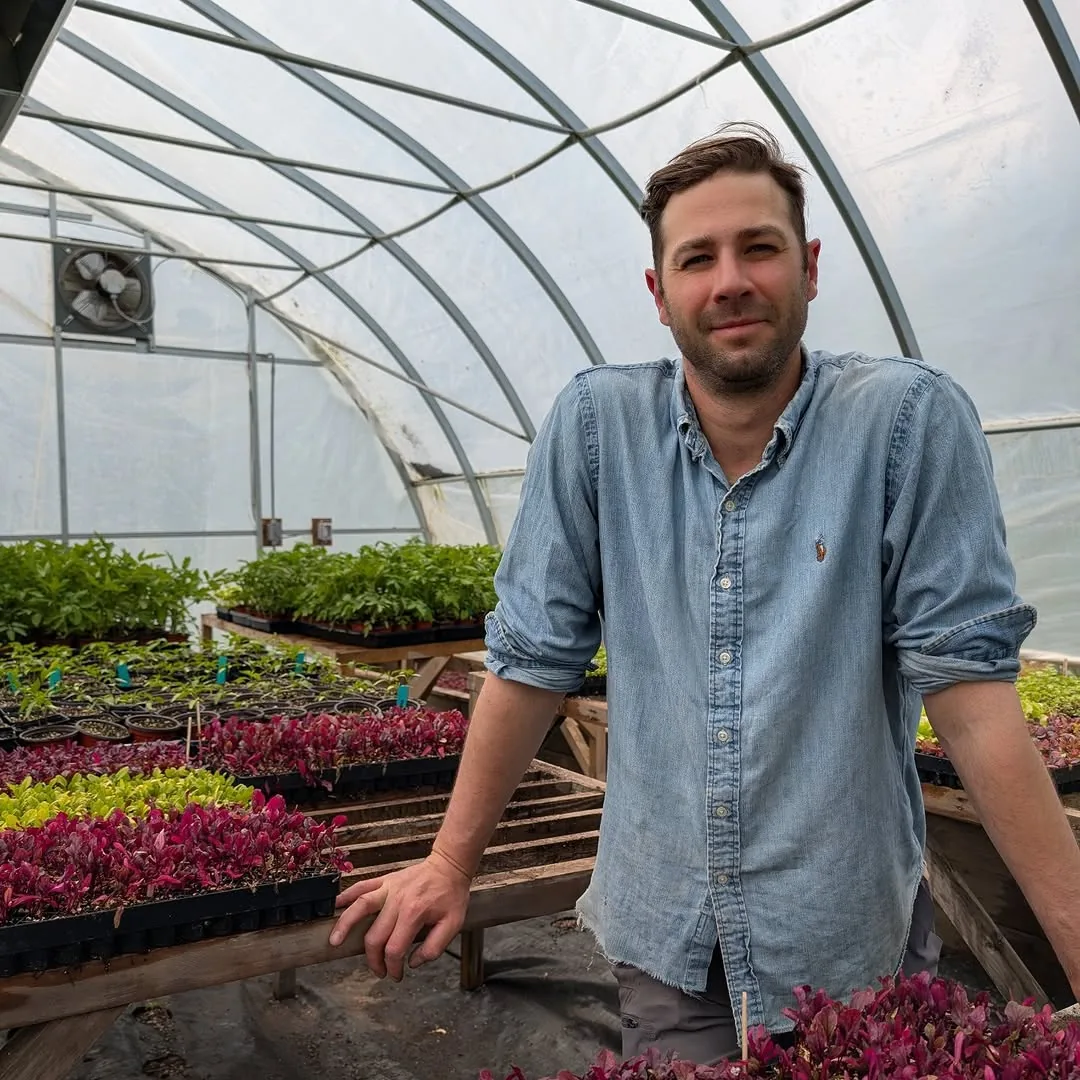 Wesley standing in a hoop greenhouse, leaning on a bench of seedling trays, with magenta and green seedlings in the foreground